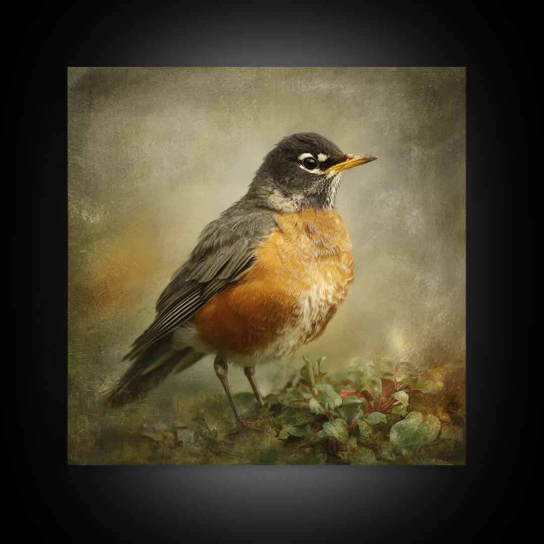 Robin in a Spring Garden with Soft Canvas Print, Bird Art, Japanese Wall Art, Living Room Decor, Watercolor Art, Flight, BIR-1x1-15