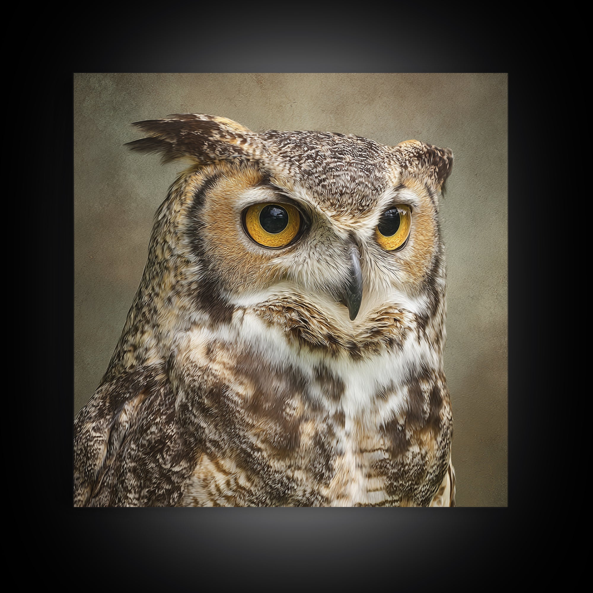 Owl Portrait with Wise Golden Eyes Framed Canvas Print, Bird Art, Fine Art Print, Living Room Decor, Fine Art, Flight, BIR-1x1-53