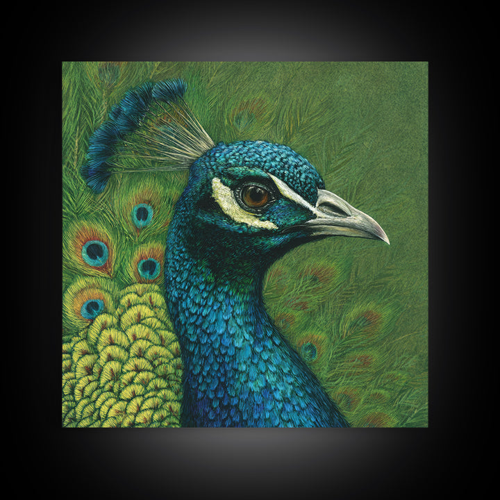 Peacock with Jewel Tone Feather Pattern Framed Canvas Print, Bird Art, Fine Art Print, Living Room Decor, Oil Painting, Flight, BIR-1x1-79