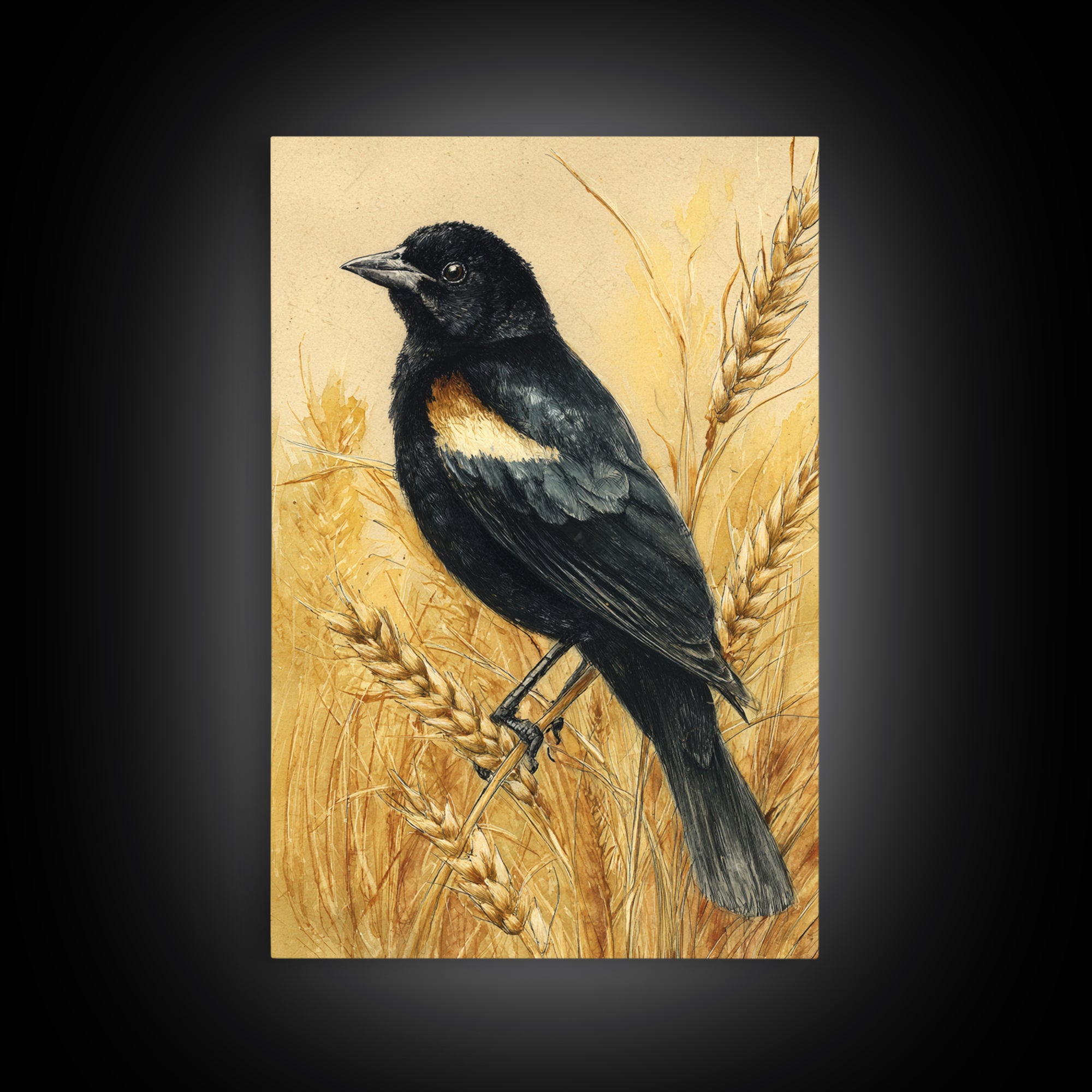 Blackbird on Gold Wheat Field Canvas Print, Bird Art, Bird Wall Art, Living Room Decor, Fine Art, Flight, Art Print, BIR-2x3-32