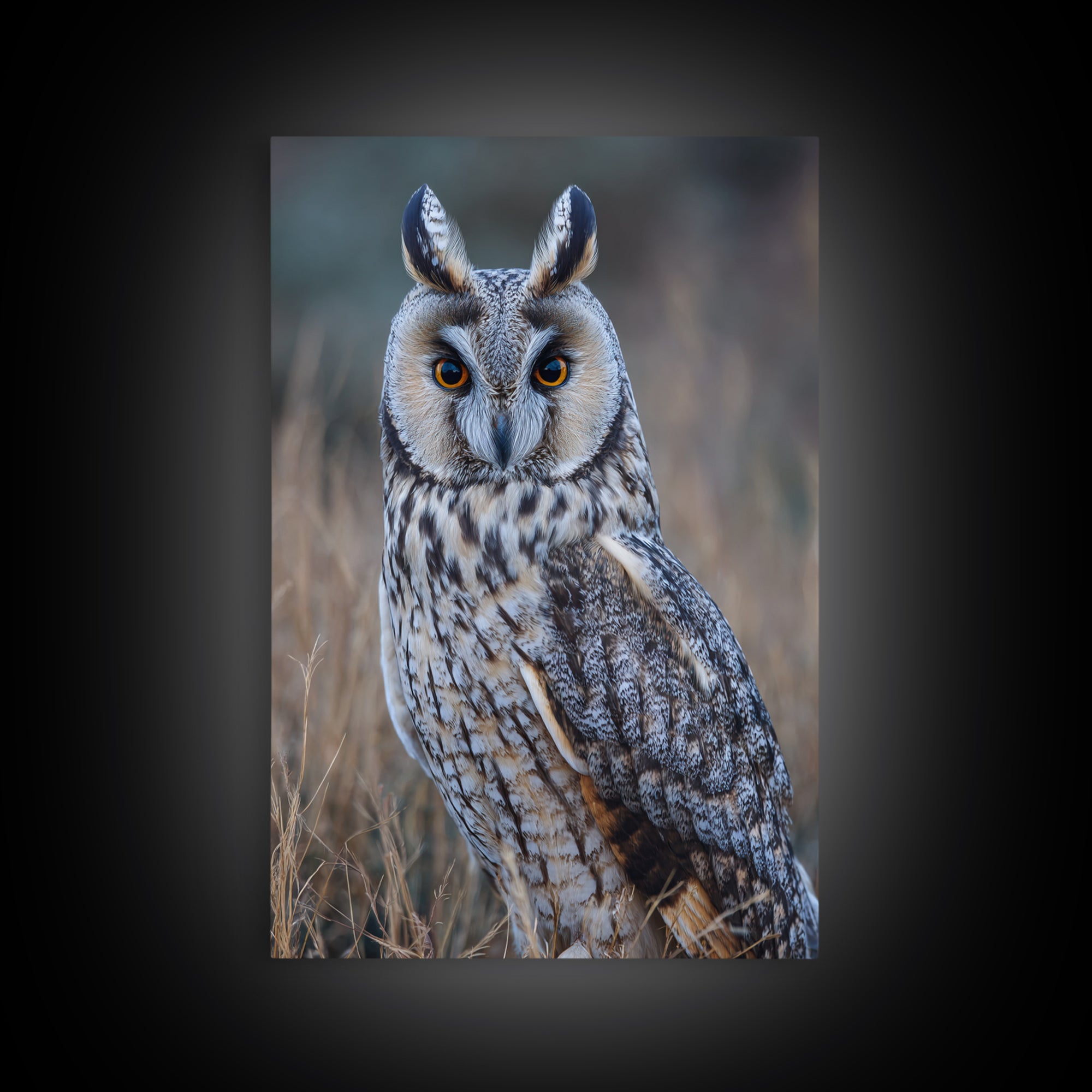 Owl Portrait with Wise Golden Eyes Framed Canvas Print, Bird Art, Digital Prints, Living Room Decor, Fine Art, Flight, BIR-2x3-37