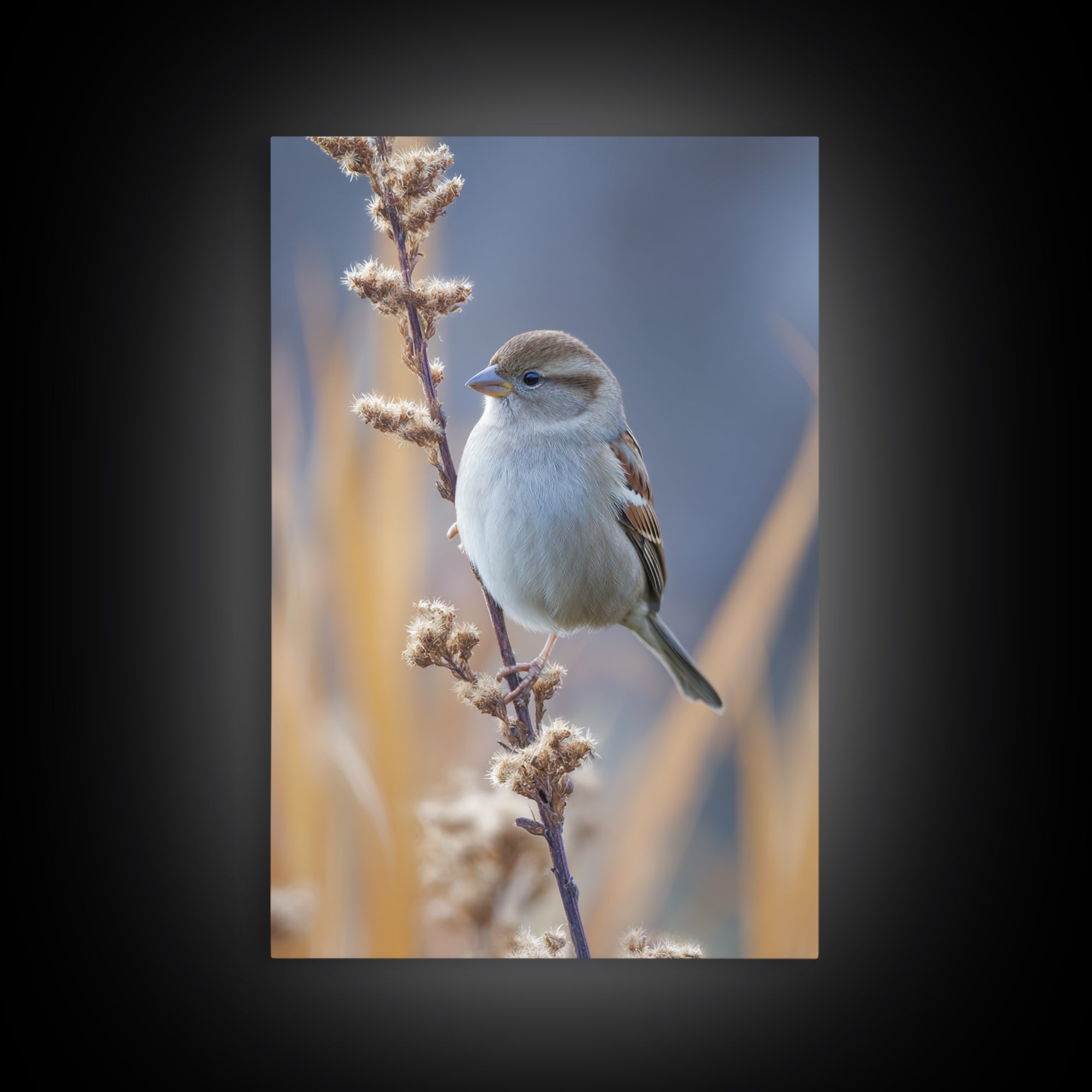 Small Sparrow on Wildflower Stem Framed Canvas Print, Bird Art, Textured Painting, Living Room Decor, Fine Art, Flight, BIR-2x3-46