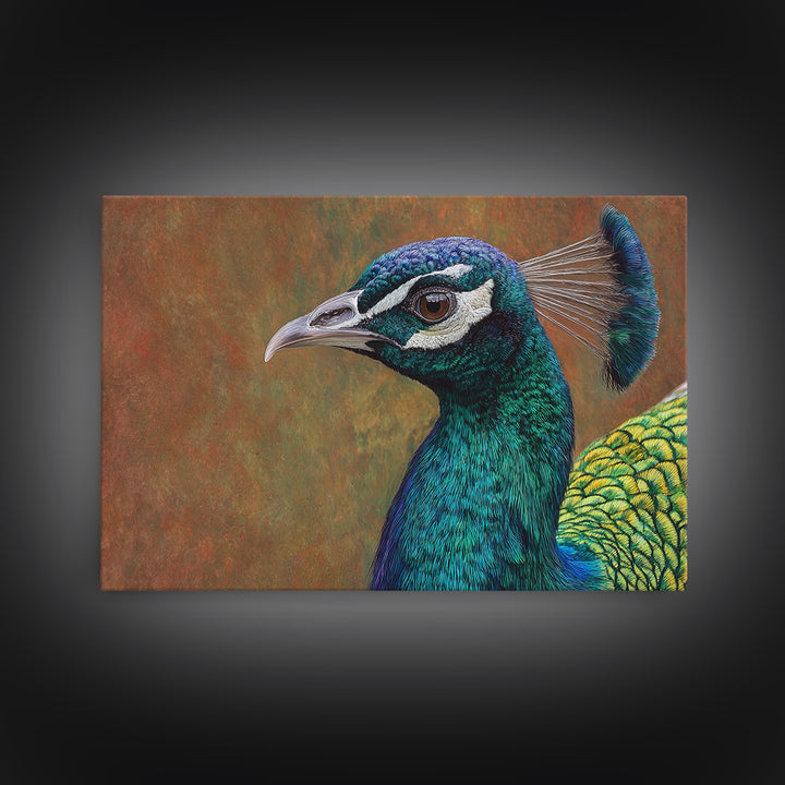 Peacock with Jewel Tone Feather Pattern Canvas Print, Bird Art, Mid Century Wall Art, Living Room Decor, Fine Art, Flight, BIR-3x2-11