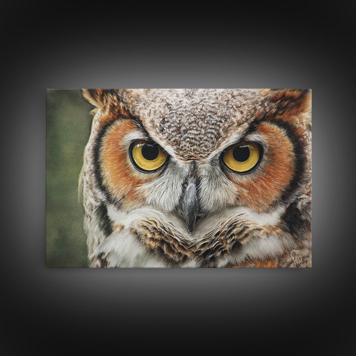 Owl Portrait with Wise Golden Eyes Canvas Print, Bird Art, Bird Prints, Living Room Decor, Fine Art, Flight, Modern Decor, BIR-3x2-33