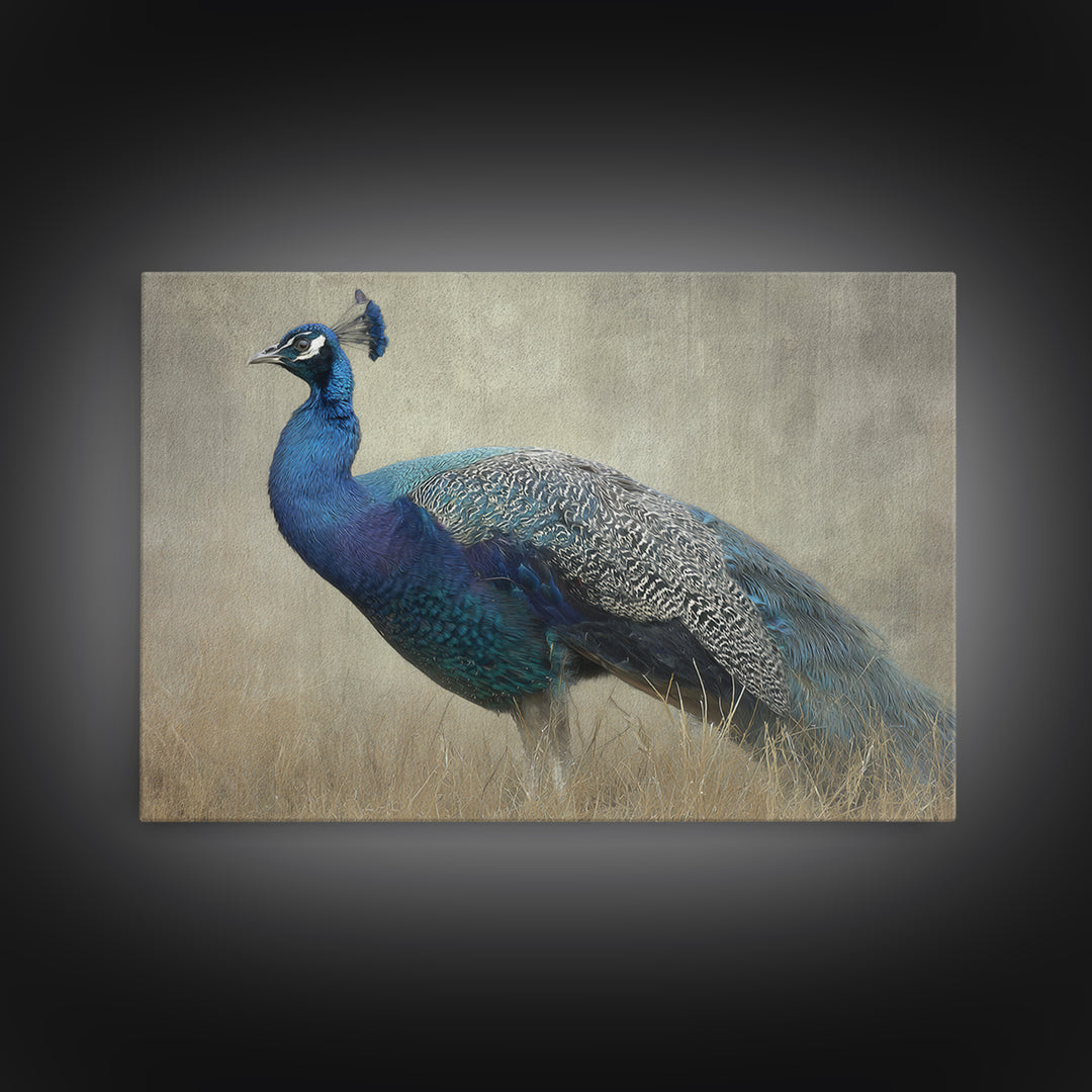 Peacock with Jewel Tone Feather Pattern Framed Canvas Print, Bird Art, Art Print, Living Room Decor, Oil Painting, Flight, BIR-3x2-59