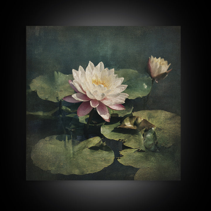 Lotus Flower and Lily Pads on Still Canvas Print, Botanical Art, Framed Wall Art, Living Room Decor, Fine Art, Botanic, BOT-1x1-19