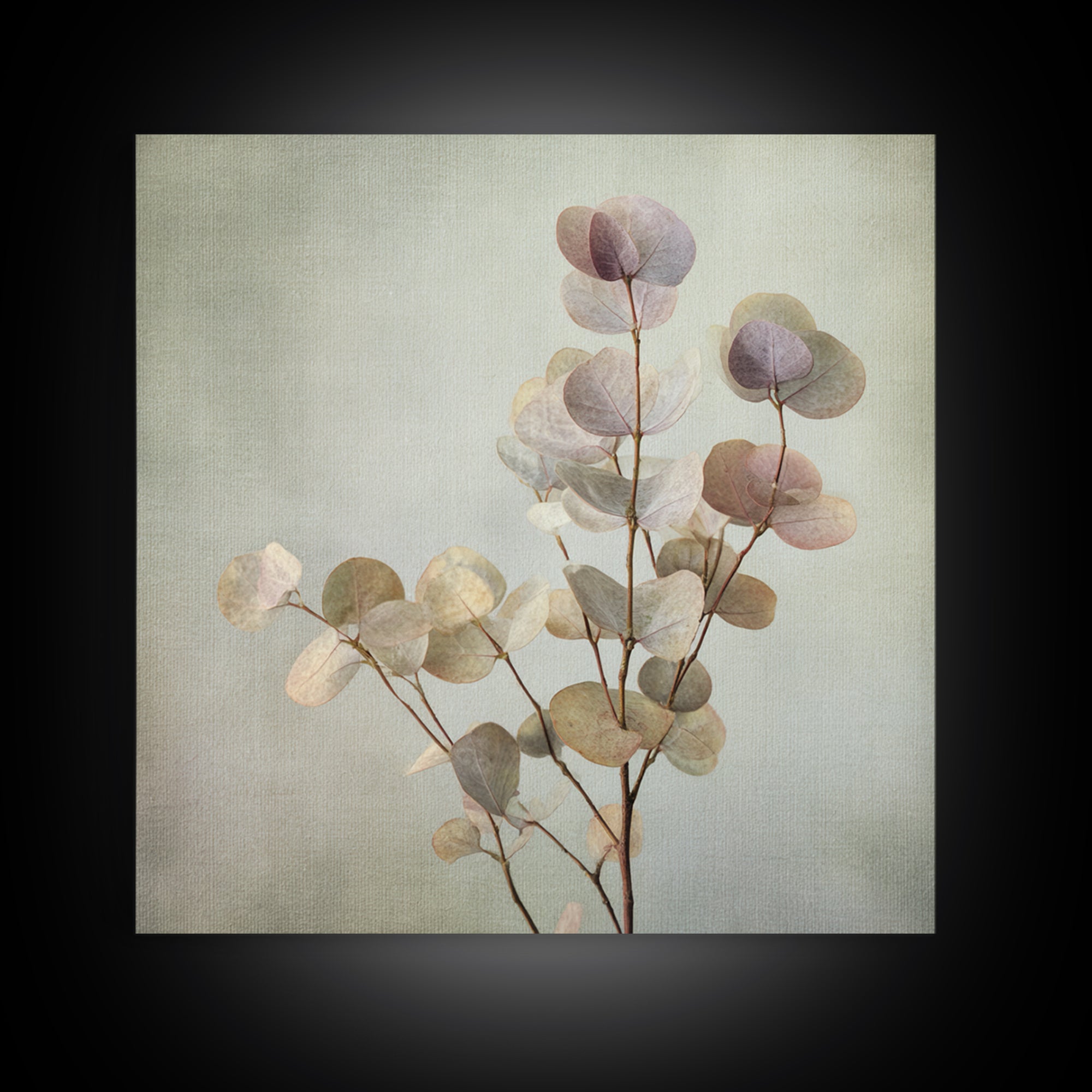 Eucalyptus Stems in Soft Sage Tones Canvas Print, Botanical Art, Gallery Decor, Living Room Decor, Fine Art, Botanic, BOT-1x1-59