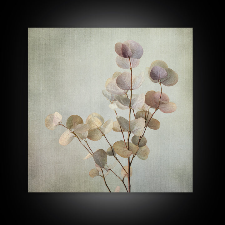 Eucalyptus Stems in Soft Sage Tones Canvas Print, Botanical Art, Gallery Decor, Living Room Decor, Fine Art, Botanic, BOT-1x1-59