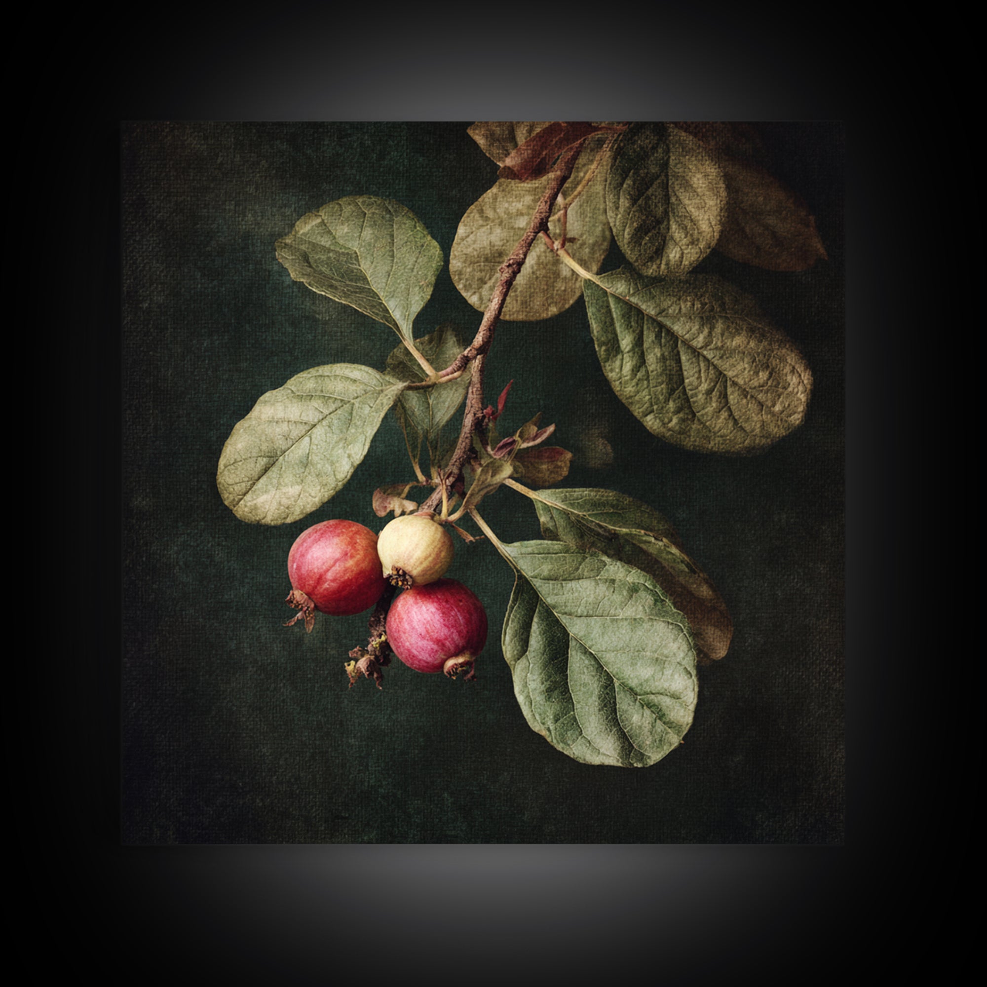 Fig Branch with Fruit and Broad Leaves Framed Canvas Print, Botanical Art, Neutral Decor, Living Room Decor, Oil Painting, BOT-1x1-63
