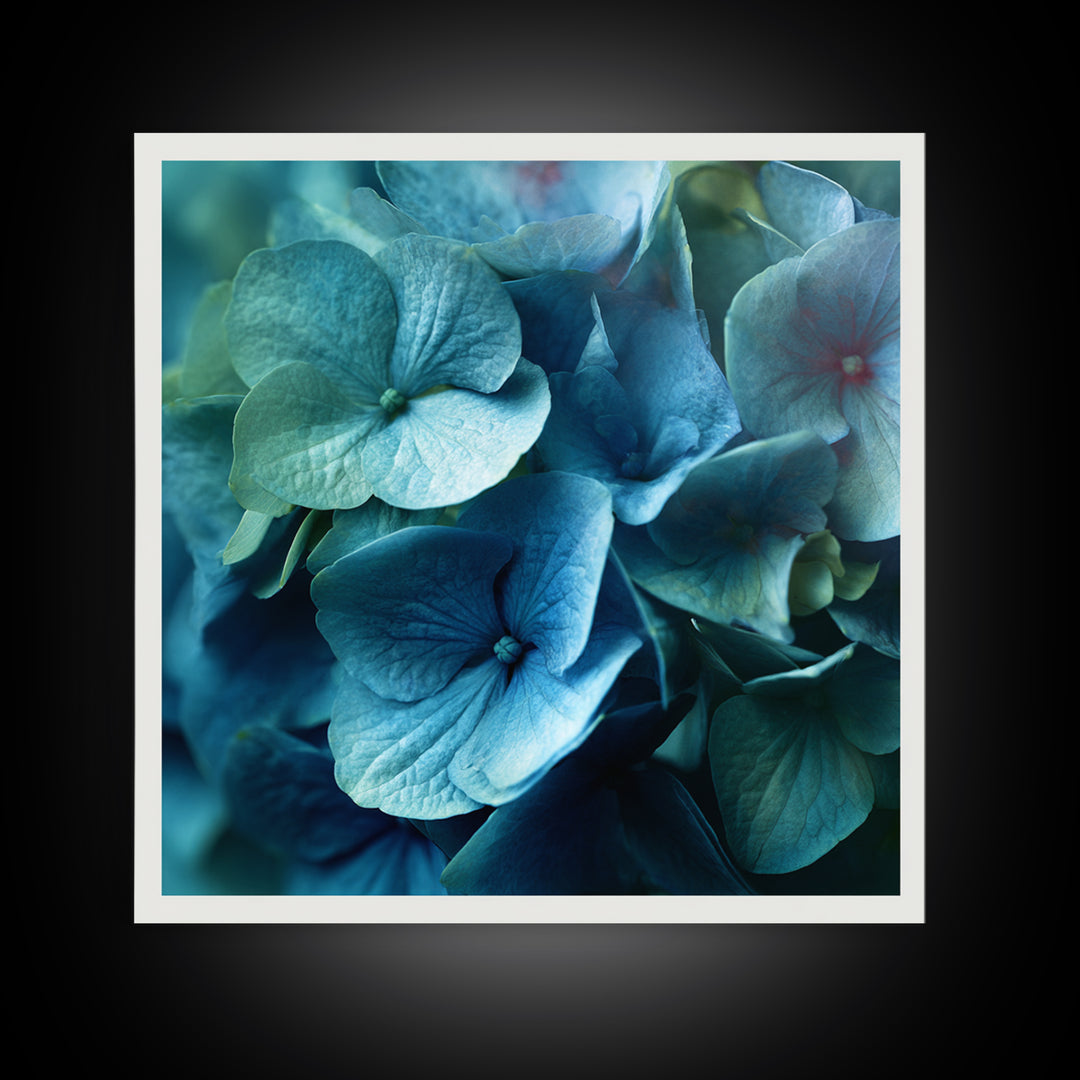 Blue Hydrangea Cluster Framed Canvas Print, Botanical Art, Modern Wall Art, Living Room Decor, Fine Art, Botanic, BOT-1x1-66