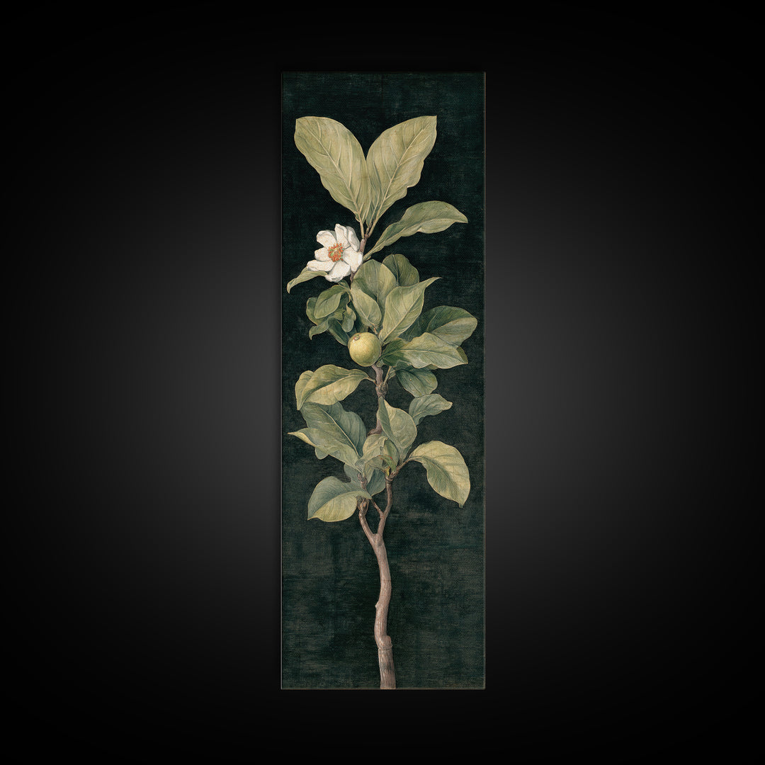 Fig Branch with Fruit and Broad Leaves Canvas Print, Botanical Art, Modern Wall Art, Living Room Decor, Fine Art, Botanic, BOT-1x3-51