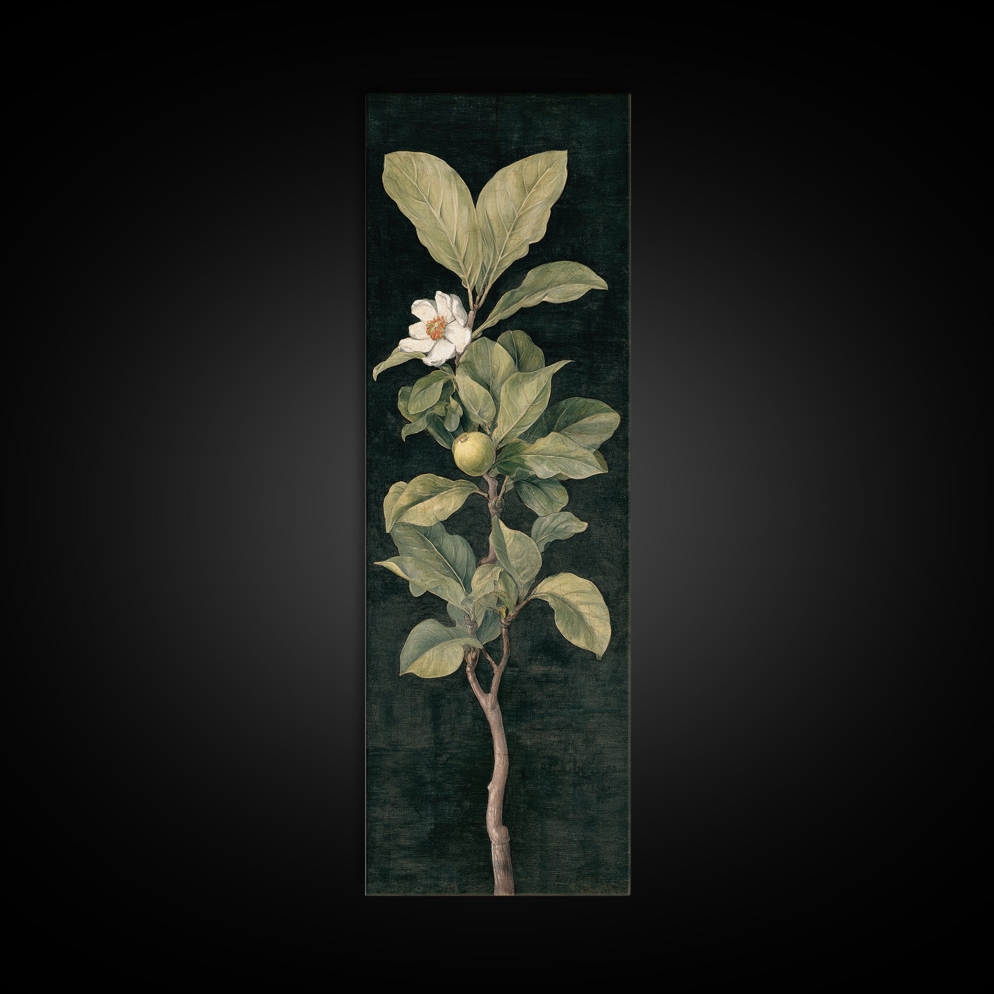 Fig Branch with Fruit and Broad Leaves Canvas Print, Botanical Art, Modern Wall Art, Living Room Decor, Fine Art, Botanic, BOT-1x3-51