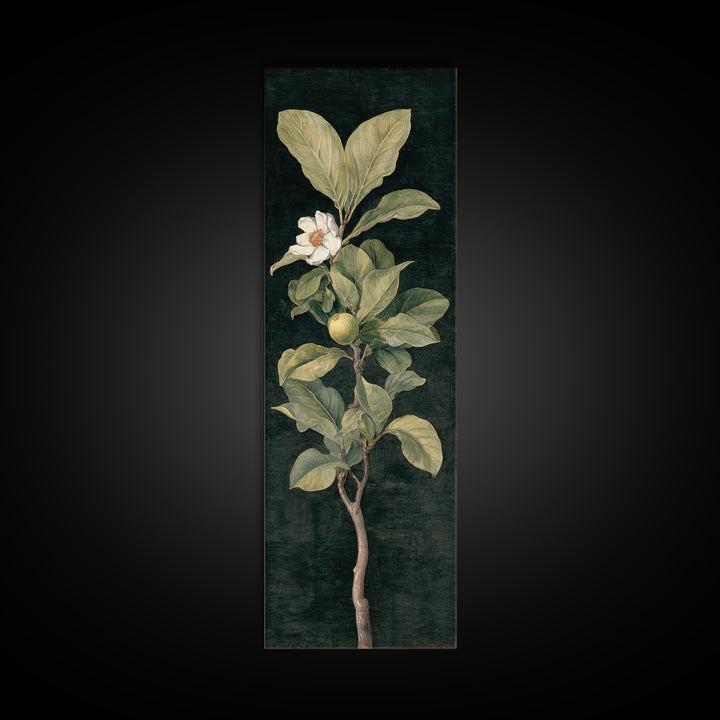 Fig Branch with Fruit and Broad Leaves Canvas Print, Botanical Art, Modern Wall Art, Living Room Decor, Fine Art, Botanic, BOT-1x3-51