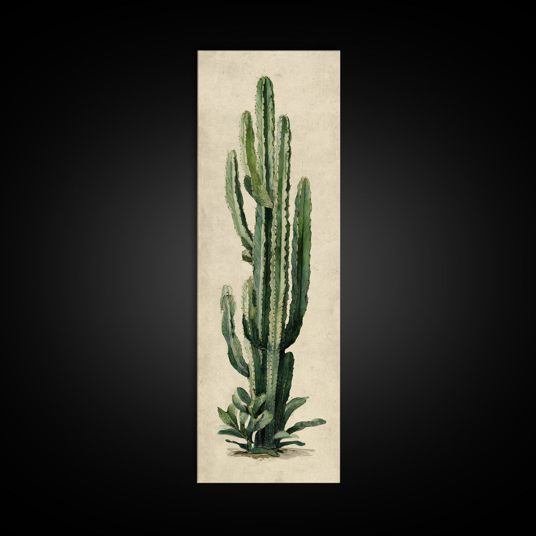 Cactus Botanical Plate Canvas Print, Botanical Art, Digital Wall Art, Living Room Decor, Oil Painting, Botanic, BOT-1x3-73
