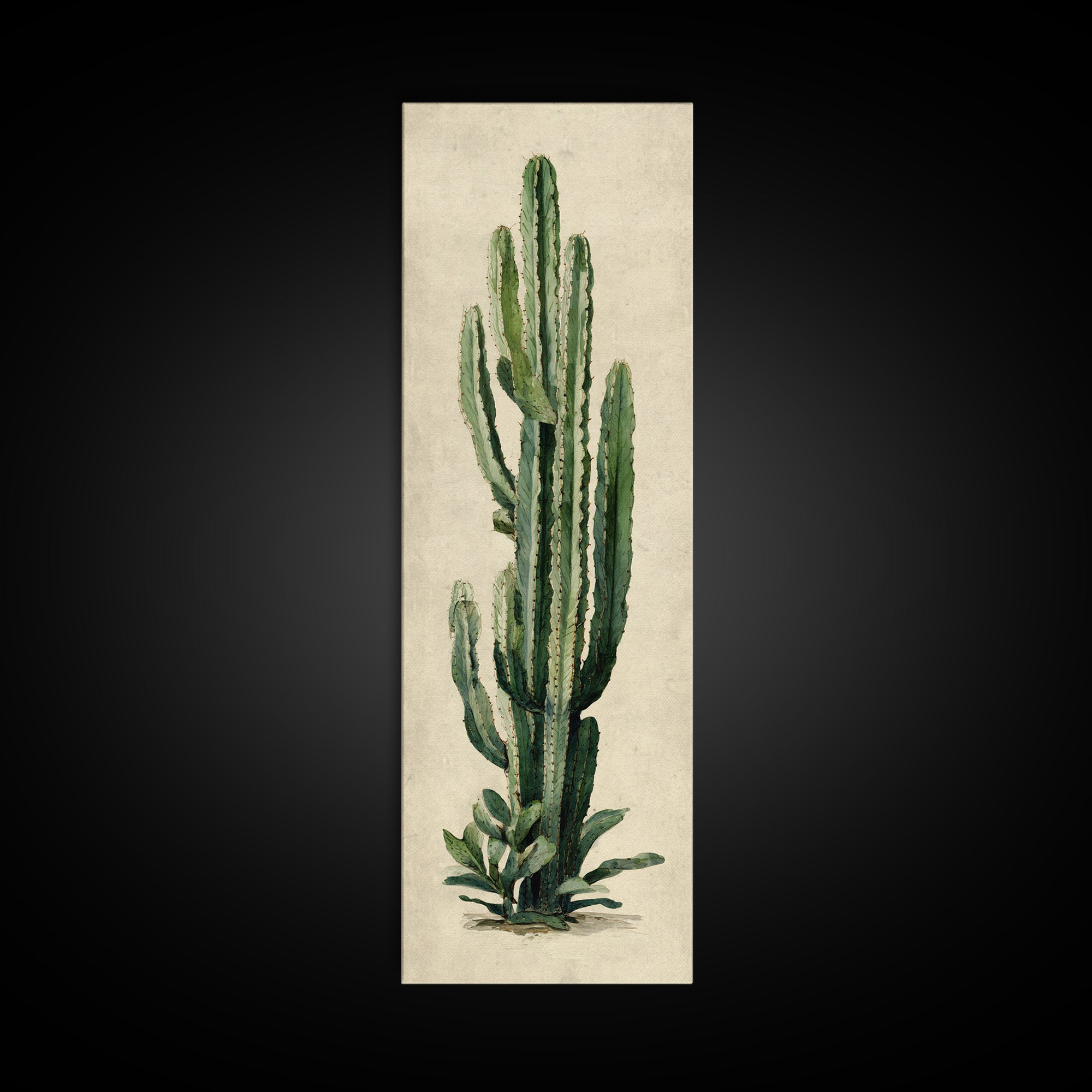Cactus Botanical Plate Canvas Print, Botanical Art, Digital Wall Art, Living Room Decor, Oil Painting, Botanic, BOT-1x3-73