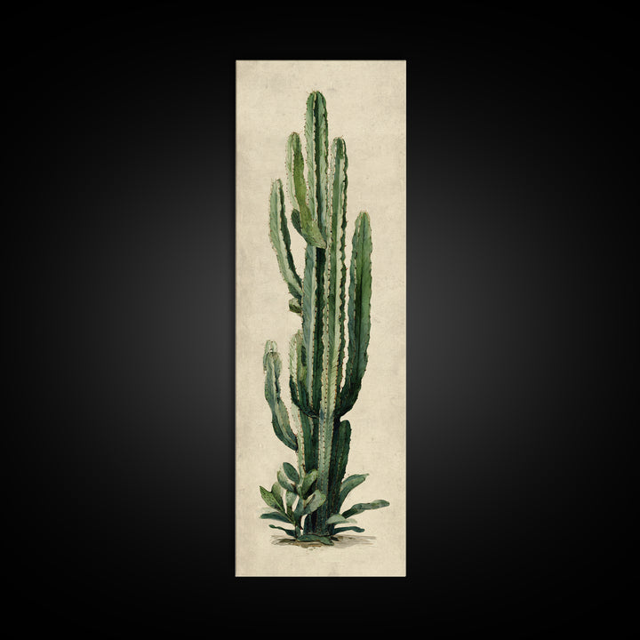 Cactus Botanical Plate Canvas Print, Botanical Art, Digital Wall Art, Living Room Decor, Oil Painting, Botanic, BOT-1x3-73