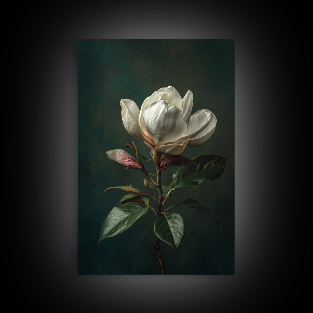 Dramatic White Magnolia on Dark Background Canvas Print, Botanical Art, Wall Art, Living Room Decor, Watercolor Art, Botanic, BOT-2x3-14