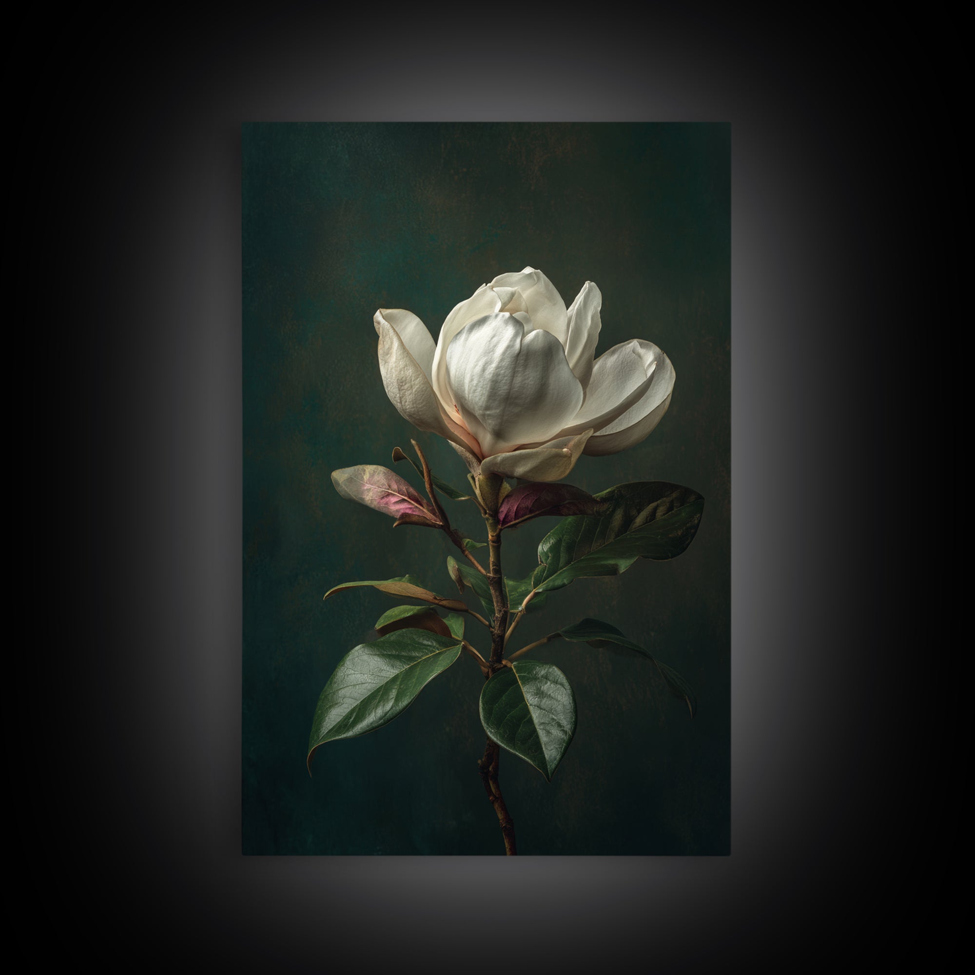 Dramatic White Magnolia on Dark Background Canvas Print, Botanical Art, Wall Art, Living Room Decor, Watercolor Art, Botanic, BOT-2x3-14