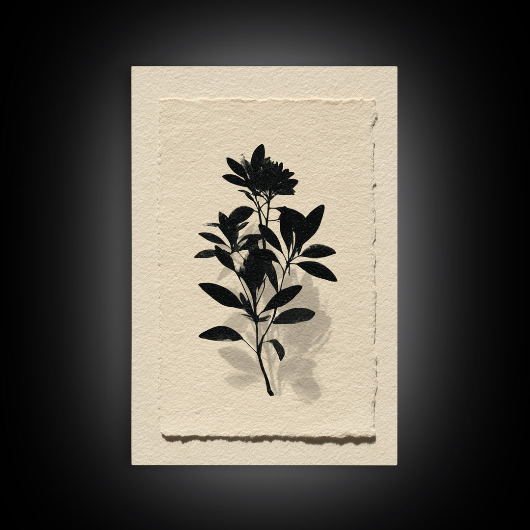 Black Ink Botanical Silhouette on Cream Paper Canvas Print, Botanical Art, Living Room Decor, Watercolor Art, Botanic, BOT-2x3-29