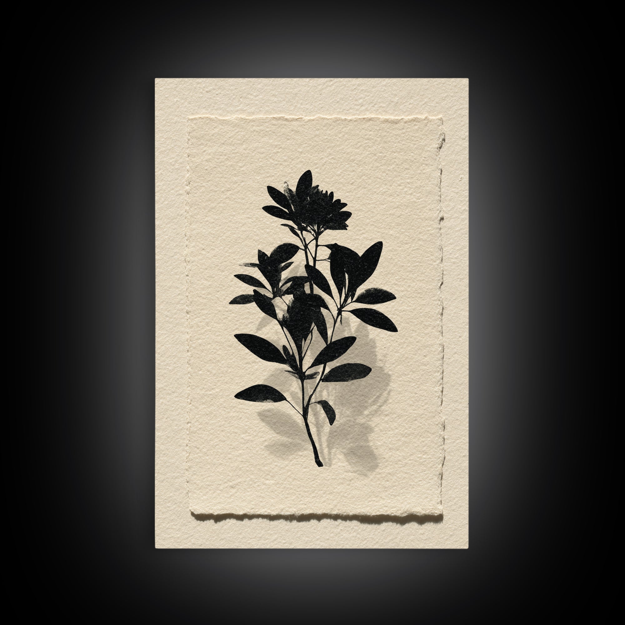 Black Ink Botanical Silhouette on Cream Paper Canvas Print, Botanical Art, Living Room Decor, Watercolor Art, Botanic, BOT-2x3-29