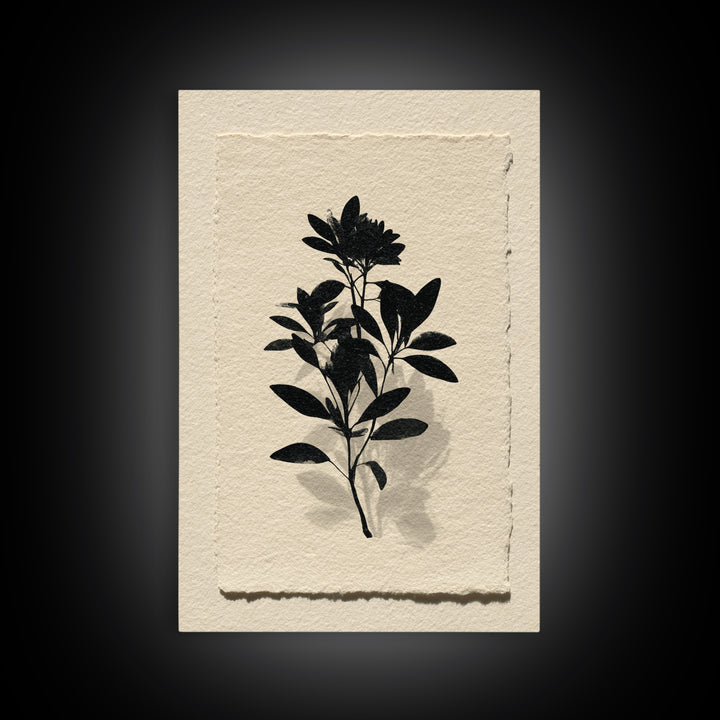 Black Ink Botanical Silhouette on Cream Paper Canvas Print, Botanical Art, Living Room Decor, Watercolor Art, Botanic, BOT-2x3-29