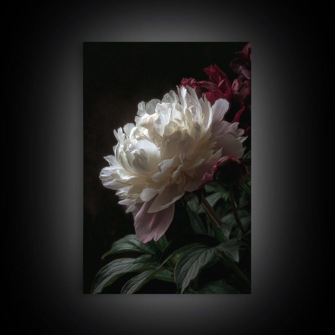 Peony Bloom with Layered Romantic Petals Framed Canvas Print, Botanical Art, Home Decor, Living Room Decor, Fine Art, Botanic, BOT-2x3-42