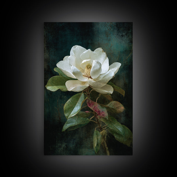 Dramatic White Magnolia on Dark Background Canvas Print, Botanical Art, Oil Painting, Living Room Decor, Fine Art, Botanic, BOT-2x3-86