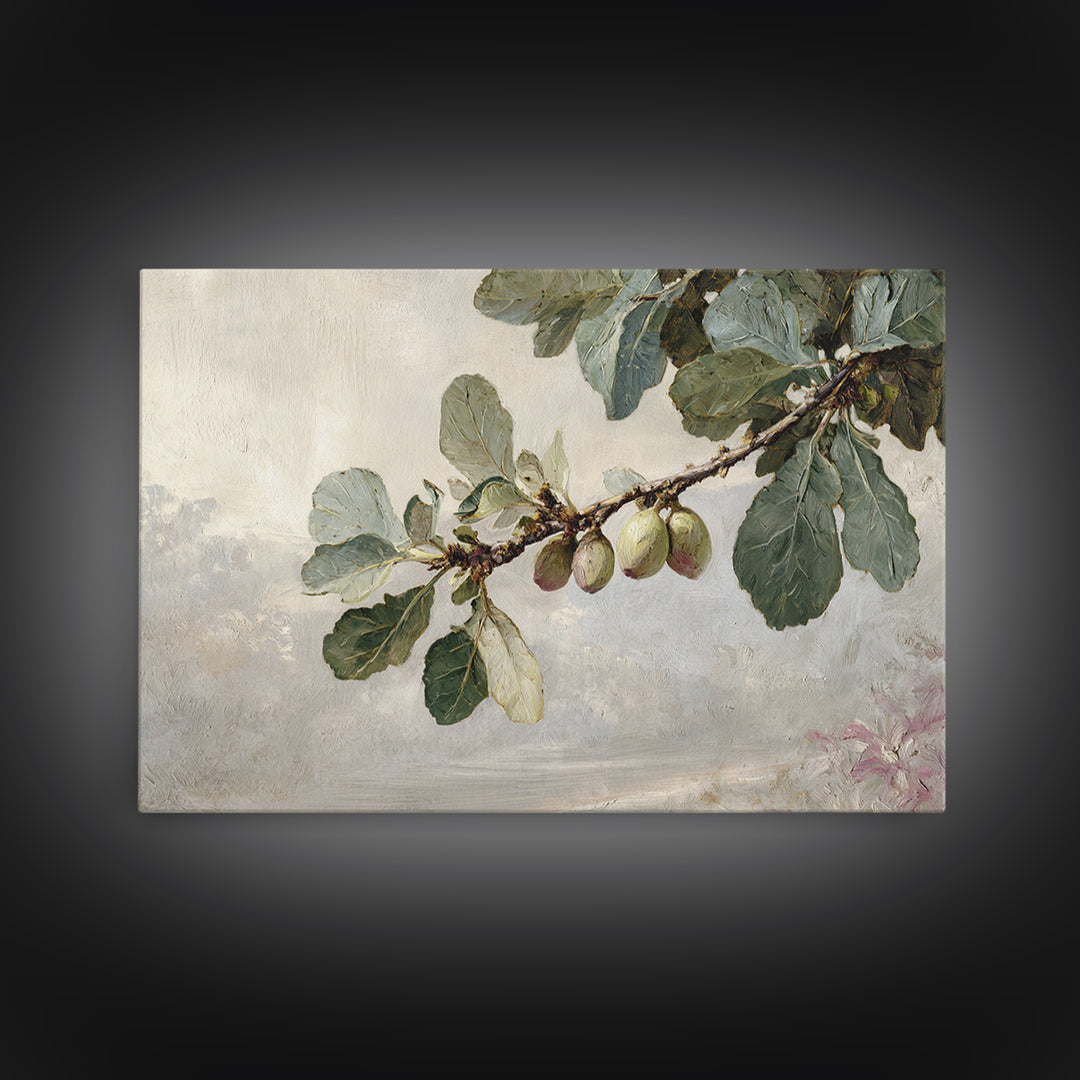 Fig Branch with Fruit and Broad Leaves Framed Canvas Print, Botanical Art, Statement Artwork, Living Room Decor, Botanic, BOT-3x2-19
