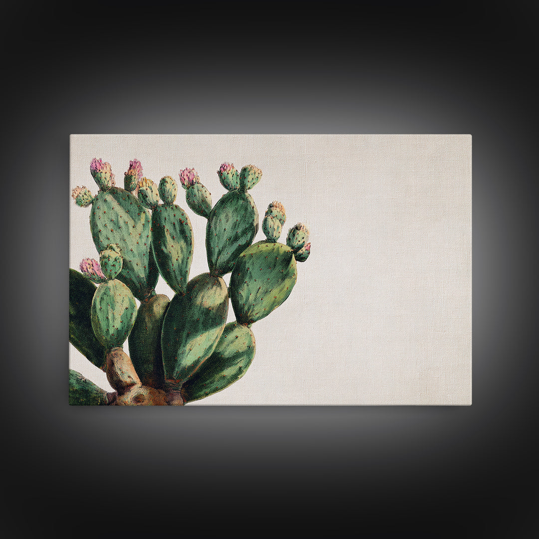 Cactus Botanical Plate Framed Canvas Print, Botanical Art, Living Room Wall Art, Living Room Decor, Fine Art, Botanic, BOT-3x2-65