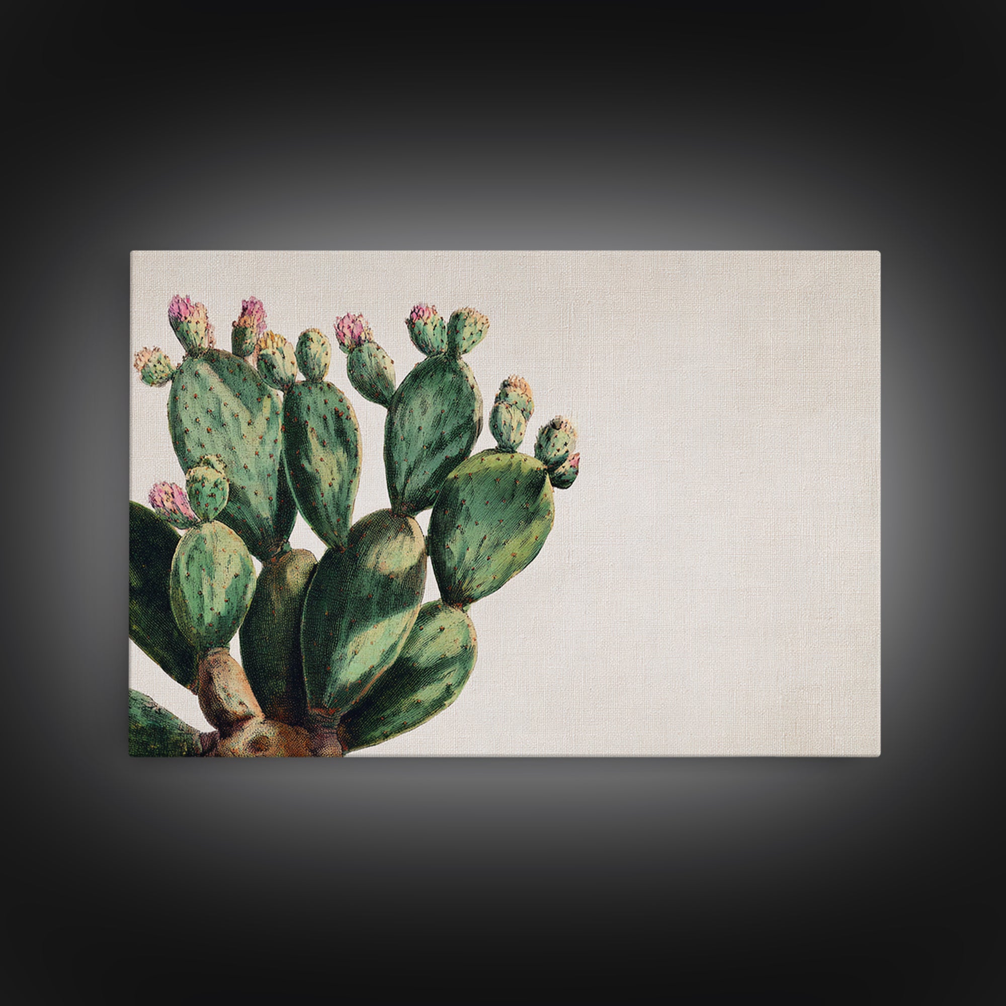 Cactus Botanical Plate Framed Canvas Print, Botanical Art, Living Room Wall Art, Living Room Decor, Fine Art, Botanic, BOT-3x2-65