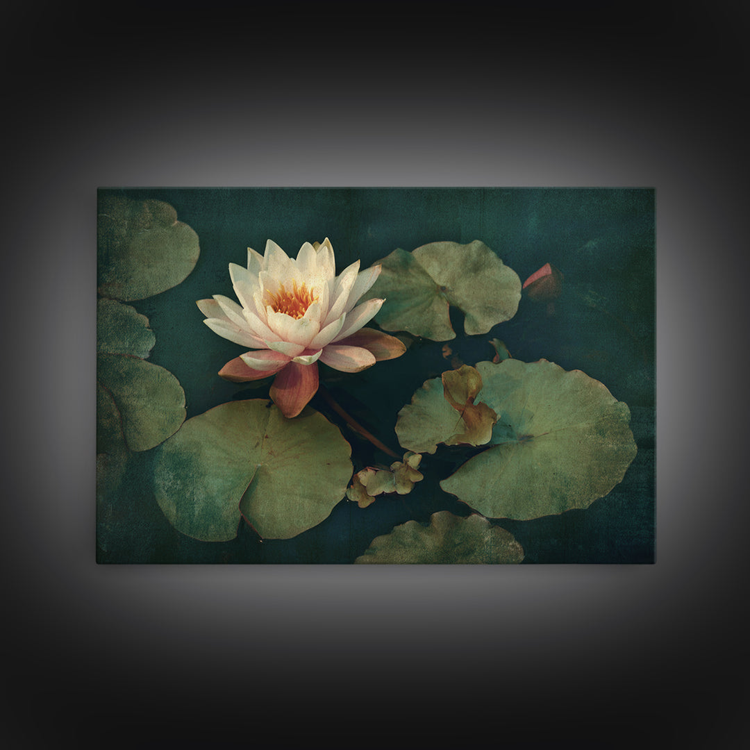 Lotus Flower and Lily Pads on Still Framed Canvas Print, Botanical Art, Living Room Decor, Watercolor Art, Botanic, BOT-3x2-95