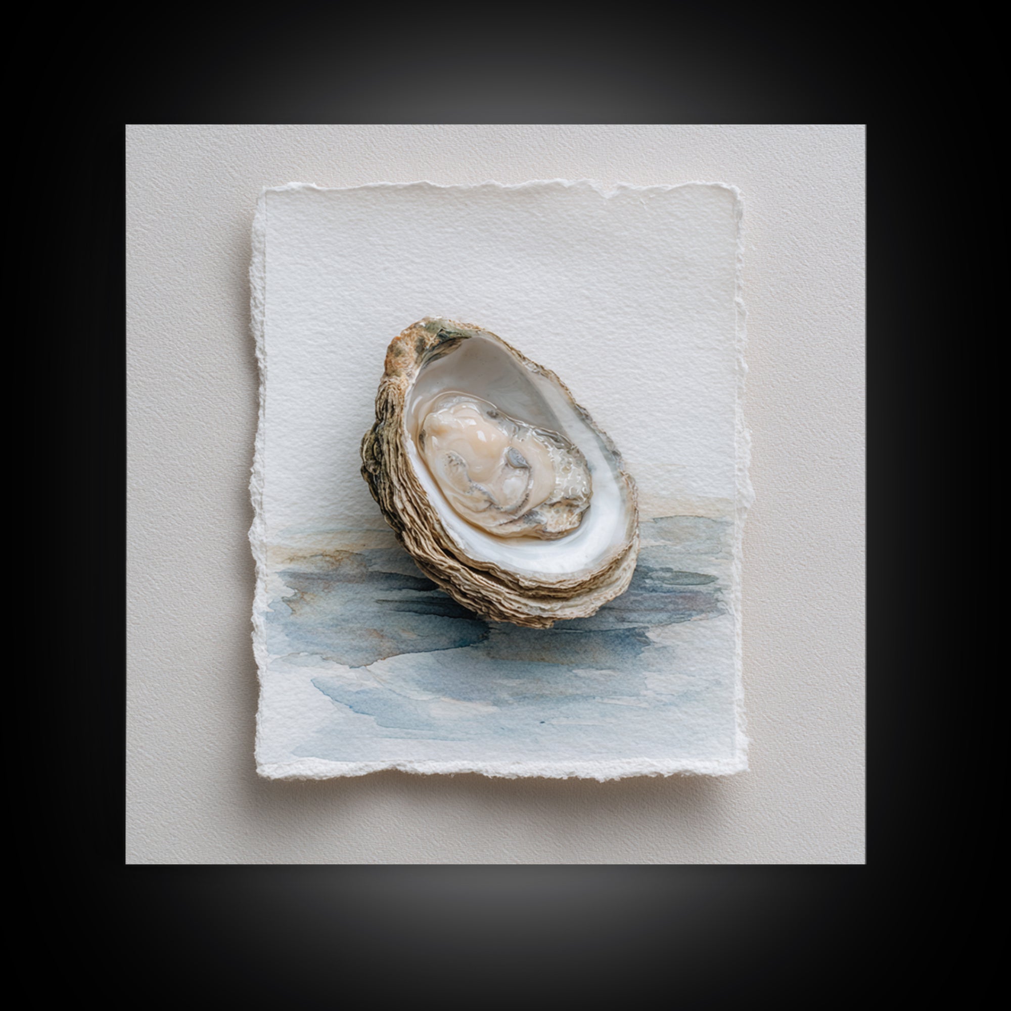 Oyster Shell Study Framed Canvas Print, Coastal Art, Beach Art, Coastal Decor, Oil Painting, Coastal, Room Decor, COA-1x1-51