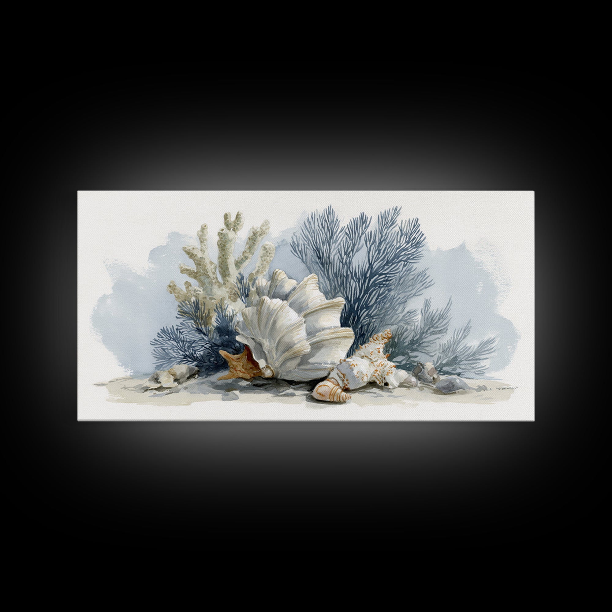Shell and Coral Specimen Arrangement Framed Canvas Print, Coastal Art, Wall Decor, Coastal Decor, Coastal, Nautical Decor, COA-2x1-7