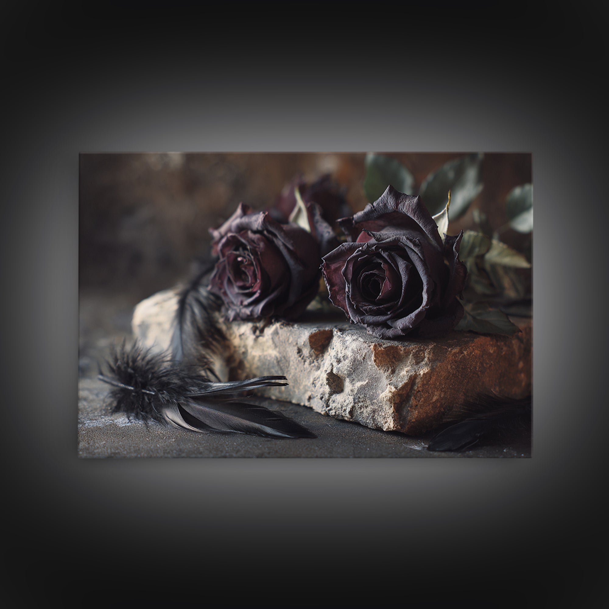 Black Roses Blooming from Cracked Stone Framed Canvas Print, Dark Art, Watercolor Painting, Living Room Decor, Nocturne, DAR-3x2-6