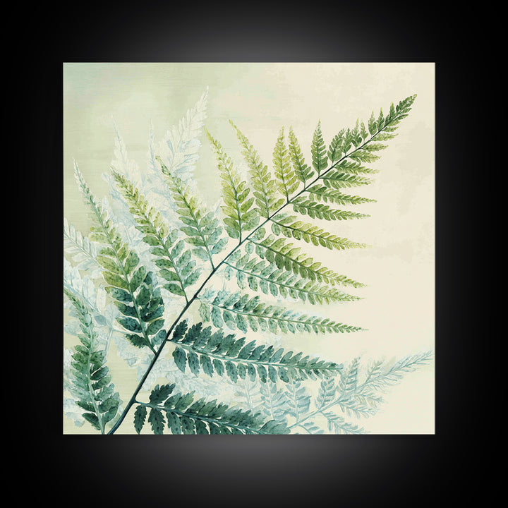 Botanical Fern Study Framed Canvas Print, Dental Office Art, Dental Hygiene, Office Decor, Fine Art, Calm, Medical Office Art, DOA-1x1-43