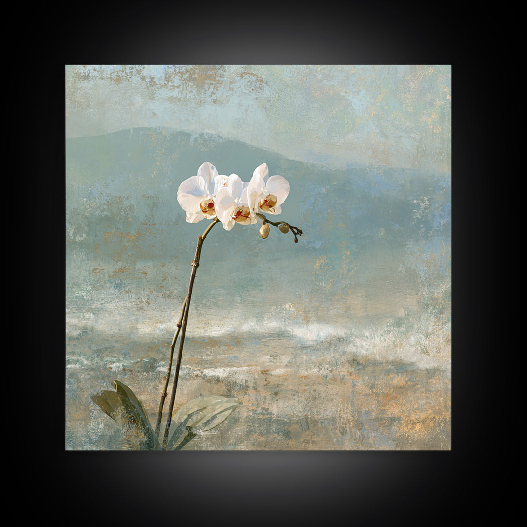 White Orchid on Stone Background Canvas Print, Dental Office Art, Dental Decor, Office Decor, Fine Art, Calm, Wall Decor, DOA-1x1-60