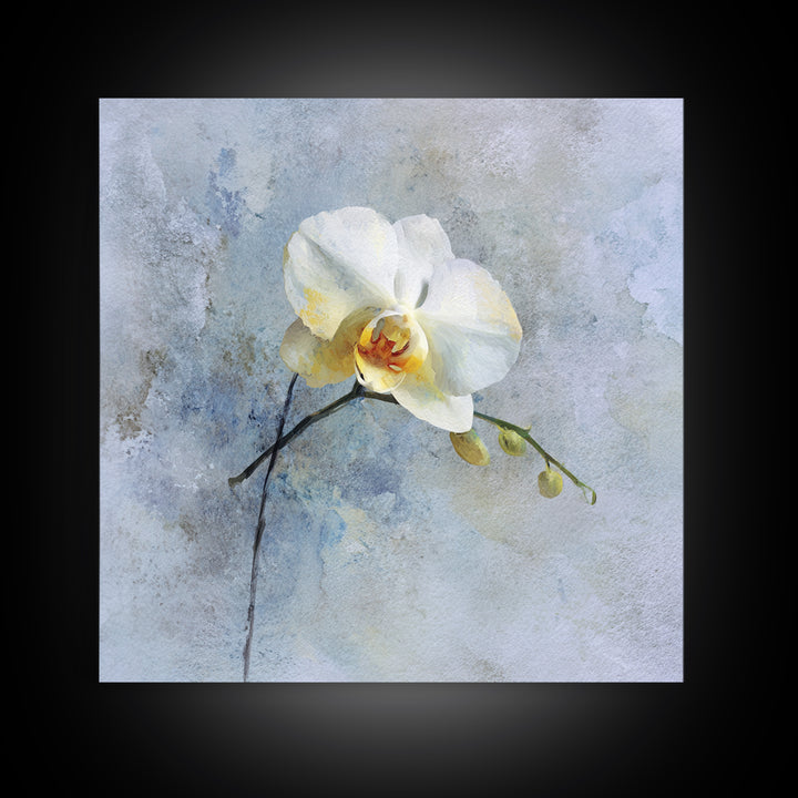 White Orchid on Stone Background Framed Canvas Print, Dental Office Art, Dental Gift, Office Decor, Abstract Art, Calm, DOA-1x1-84