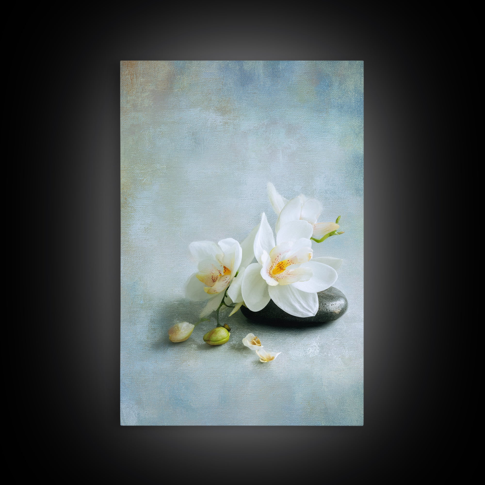 White Orchid on Stone Background Framed Canvas Print, Dental Office Art, Modern Decor, Office Decor, Oil Painting, Calm, DOA-2x3-20