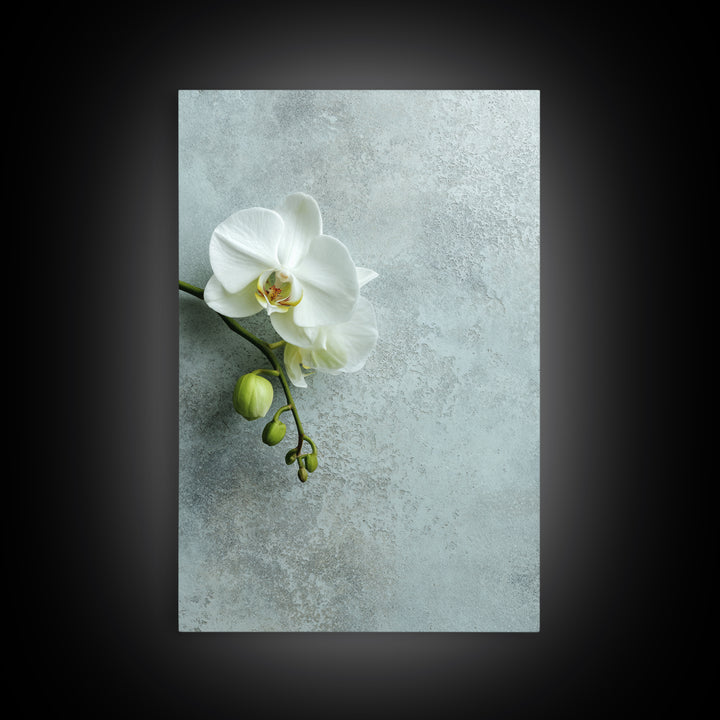 White Orchid on Stone Background Framed Canvas Print, Dental Office Art, Modern Decor, Office Decor, Fine Art, Calm, Poster, DOA-2x3-68