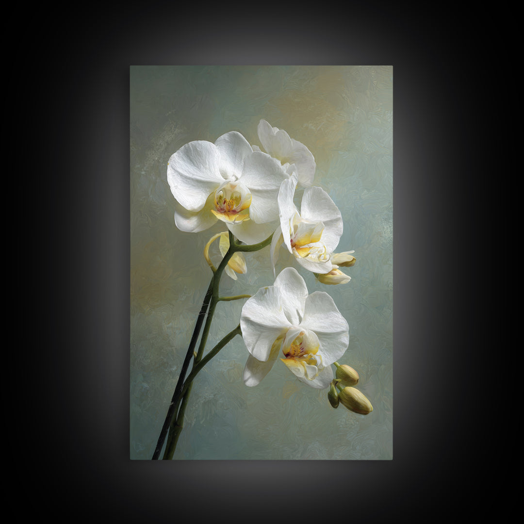 White Orchid on Stone Background Framed Canvas Print, Dental Office Art, Dental Wall Art, Office Decor, Abstract Art, Calm, DOA-2x3-92