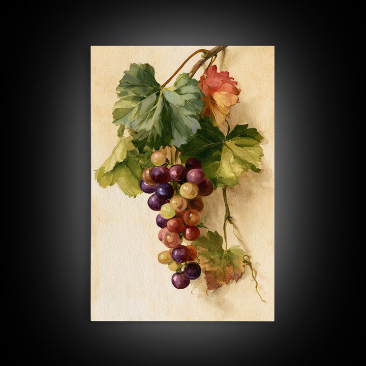 Botanical Grapevine with Leaves and Fruit Canvas Print, Dining Room Art, Large Wall Art, Dining Room Decor, Fine Art, Dining, DRA-2x3-77