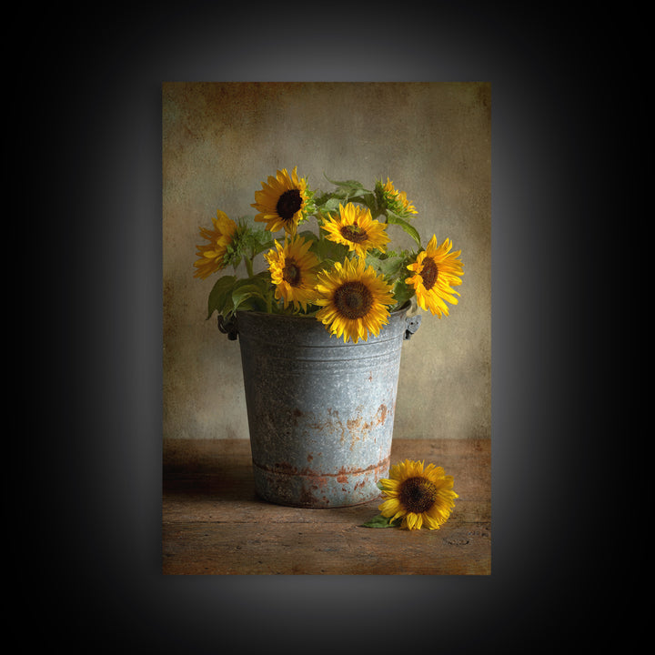 Sunflowers in a Galvanized Metal Bucket Framed Canvas Print, Farmhouse Art, Art, Farmhouse Decor, Watercolor Art, Harvest, FAR-2x3-59