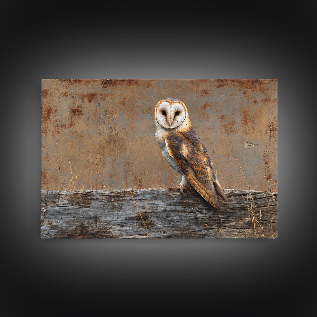 Barn Owl Perched on Aged Wood Framed Canvas Print, Farmhouse Art, Minimalist Decor, Farmhouse Decor, Fine Art, Harvest, FAR-3x2-99