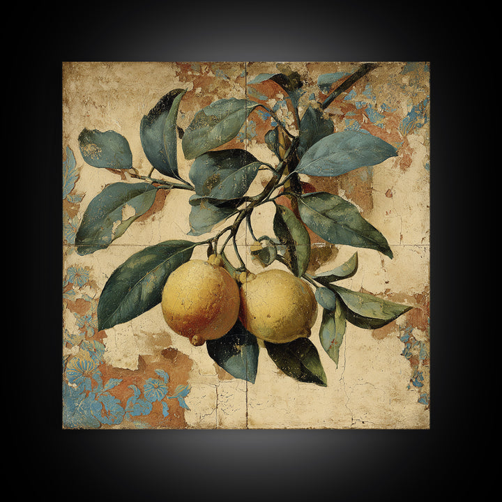 Aged Botanical Plate of Lemons and Leaves Canvas Print, French Country Art, Landscape Wall Art, Farmhouse Decor, Country, FCA-1x1-84