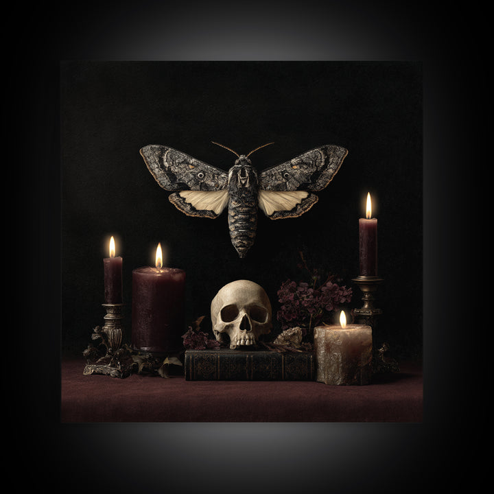 Moth and Skull Composition on Black Velvet Canvas Print, Gothic Art, Canvas Tote Bag, Living Room Decor, Oil Painting, Gothic, GOT-1x1-15