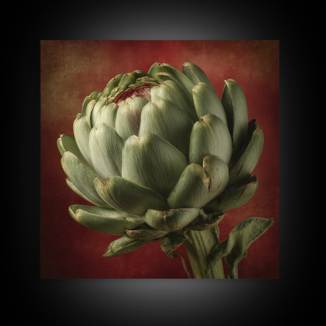 Artichoke Closeup in Painterly Green Tones Canvas Print, Kitchen Art, Prints, Kitchen Decor, Kitchen, Kitchen Wall Decor, KIT-1x1-20
