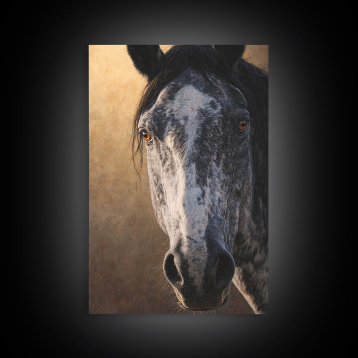 Contemporary Horse Portrait Framed Canvas Print, Living Room Art, Home Decor, Living Room Decor, Fine Art, Living, LIR-2x3-18