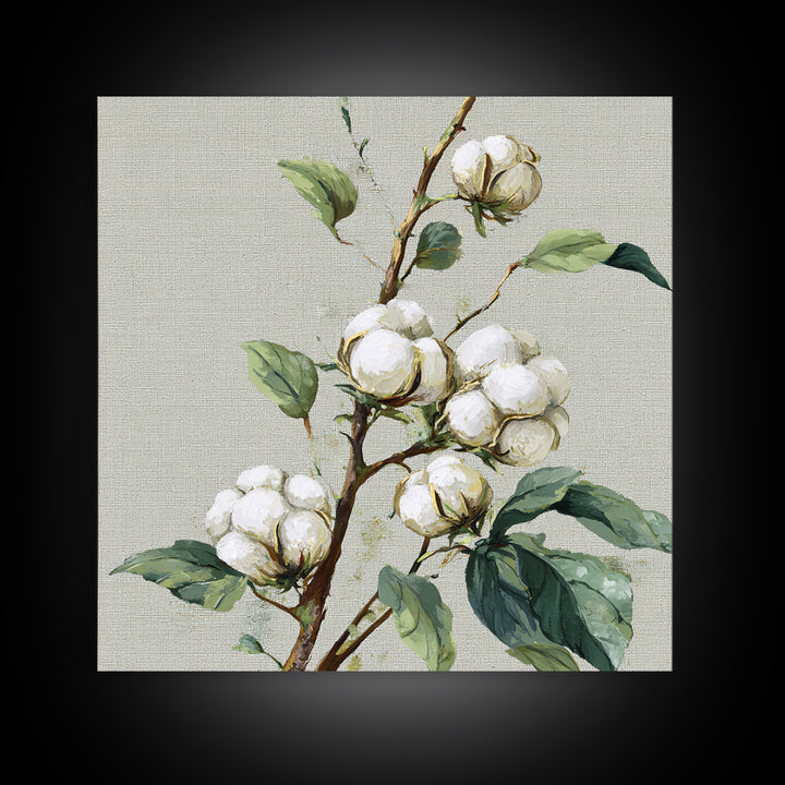Fresh Cotton Branch Botanical Study Framed Canvas Print, Laundry Room Art, Fine Art Print, Living Room Decor, Fine Art, Clean, LRA-1x1-79