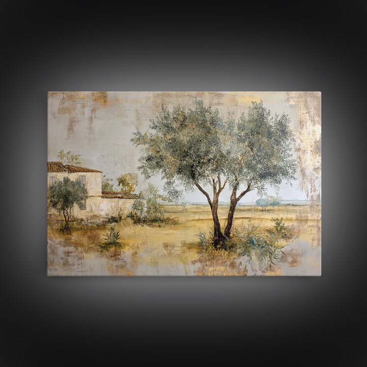 Olive Grove under Pale Morning Light Framed Canvas Print, Mediterranean Art, Nautical Decor, Living Room Decor, Fine Art, Azure, MAR-3x2-69