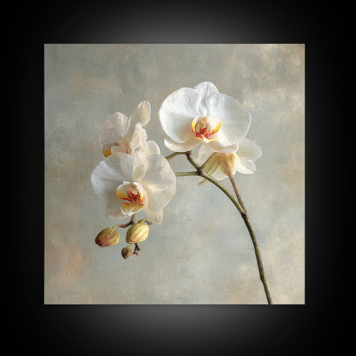 White Orchids Against Warm Gray Background Canvas Print, Master Bedroom, Art Print, Bedroom Decor, Fine Art, Sanctuary, MAS-1x1-81